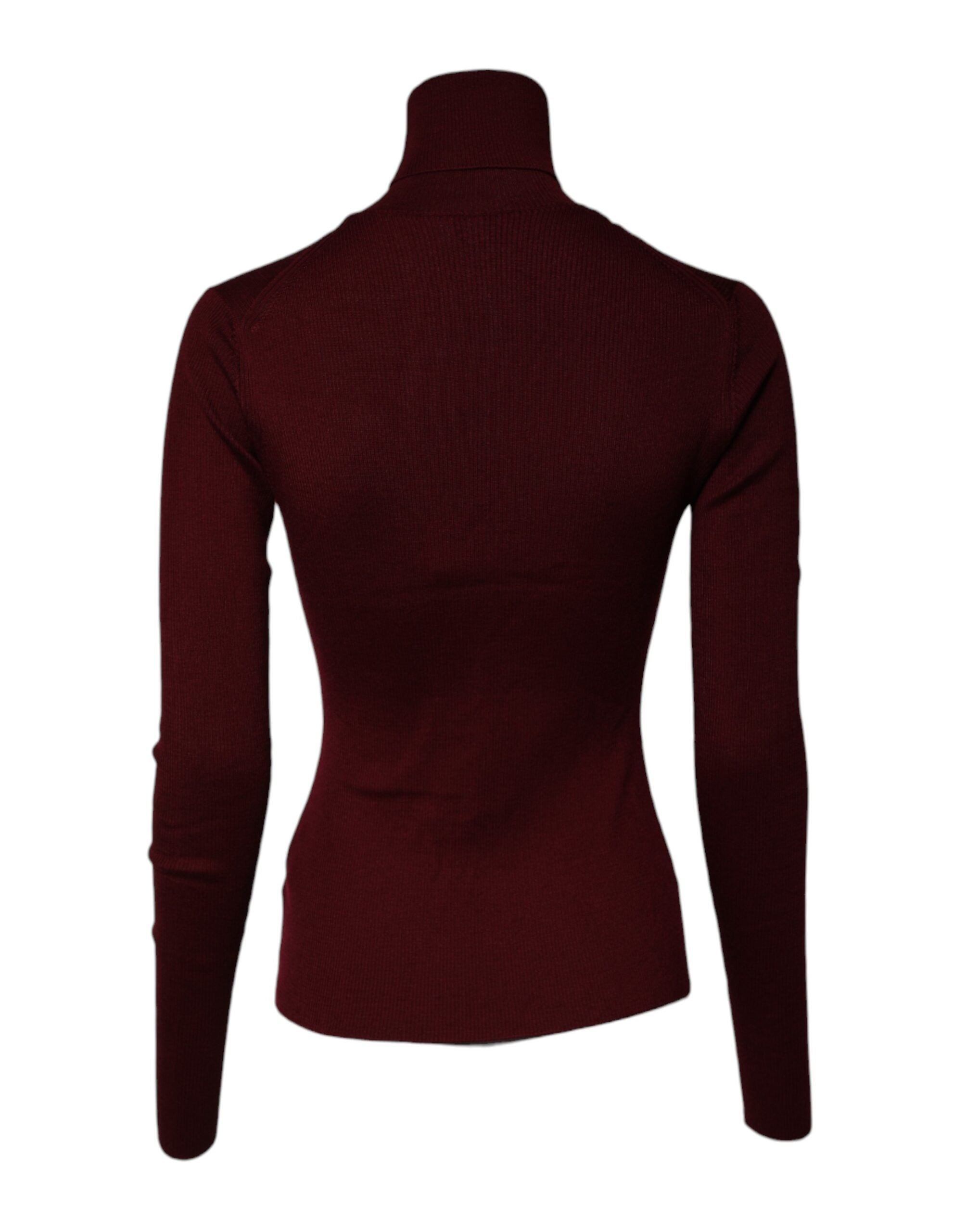 Burgundy Long Sleeves Turtleneck Slim Sweater