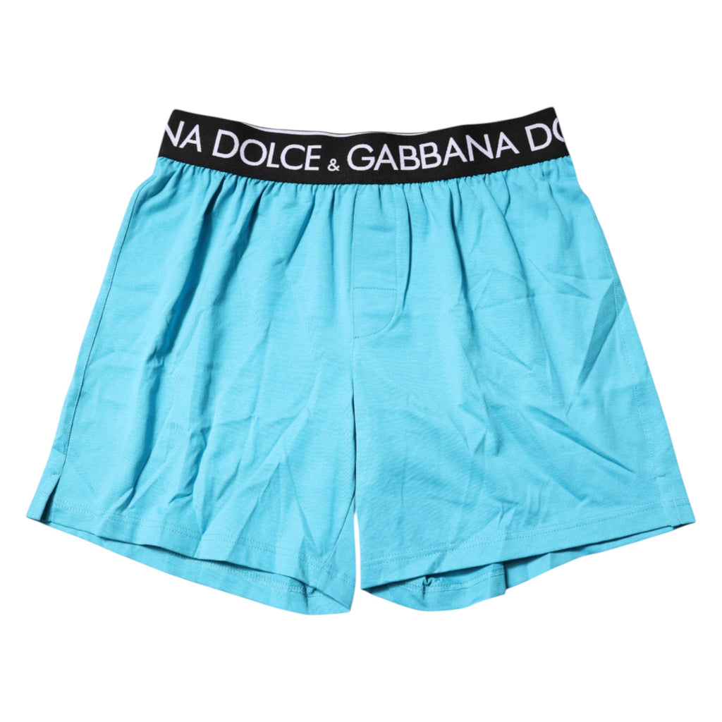 Blue Logo Waist Regular Boxer Shorts Underwear