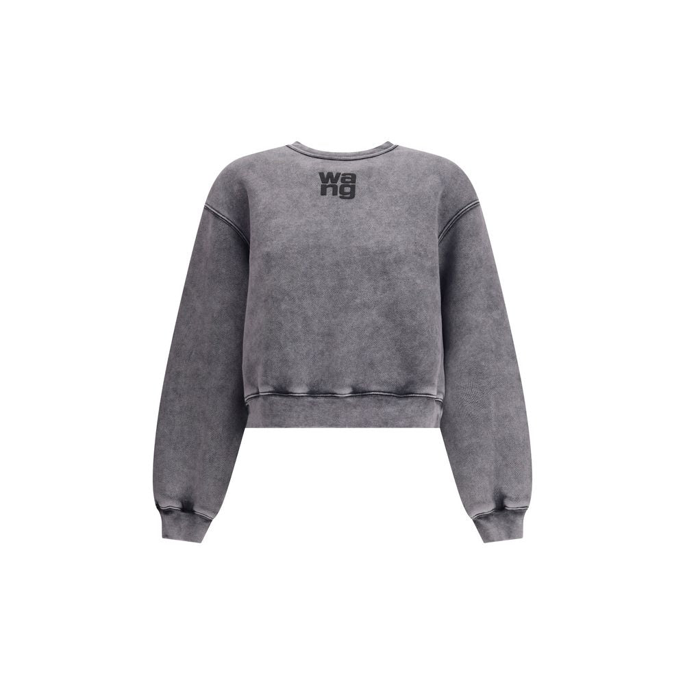 Alexander Wang Gray Cotton Sweatshirt