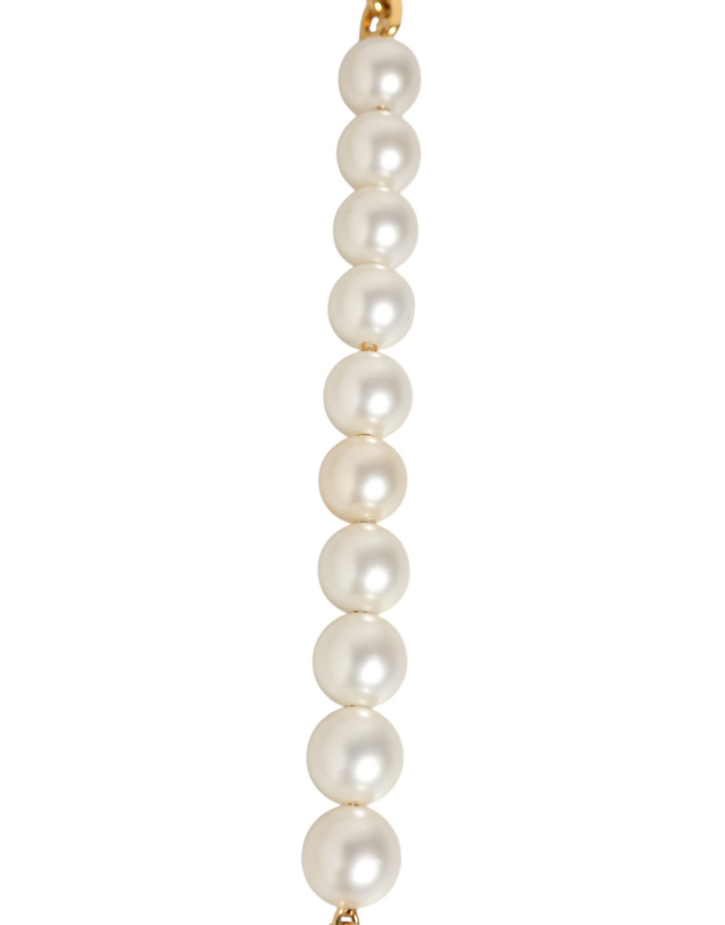 Black Leather Gold Chain Bag Accessory Shoulder Strap